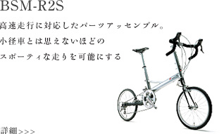 BSM-R2S