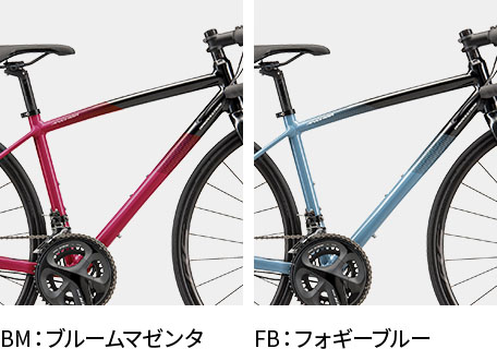 全3色の中から選べます。