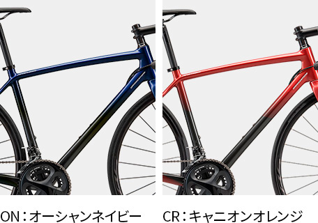 全2色の中から選べます。