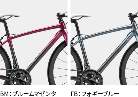 全2色の中から選べます。