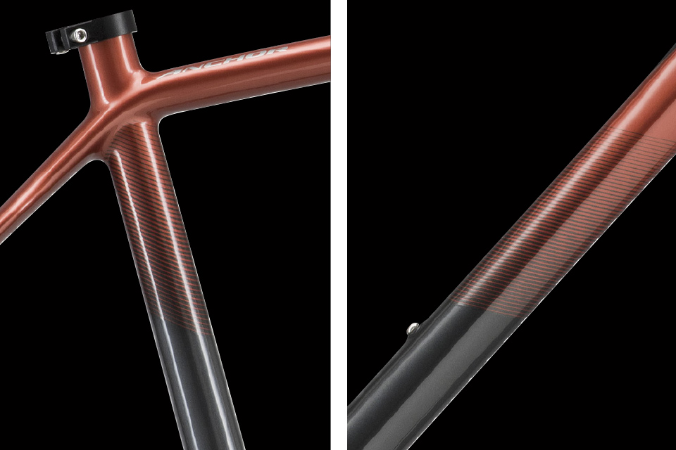 フェードラインの写真