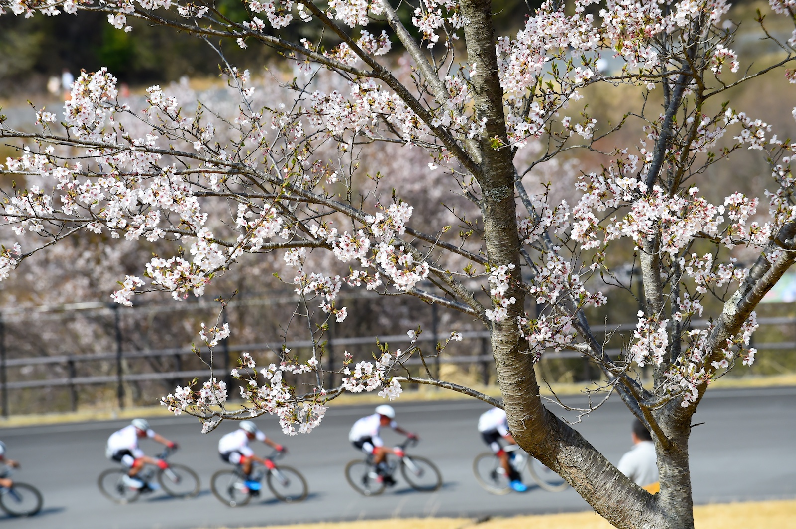 【チャレンジロード 修善寺】今村24位に