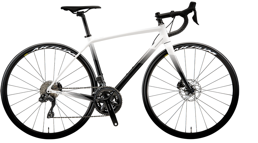 2024年限定カラー オンライン注文申し込み受付 | アンカー