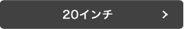 20インチ