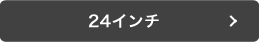 24インチ