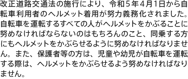 子ども用ヘルメットのポイント画像